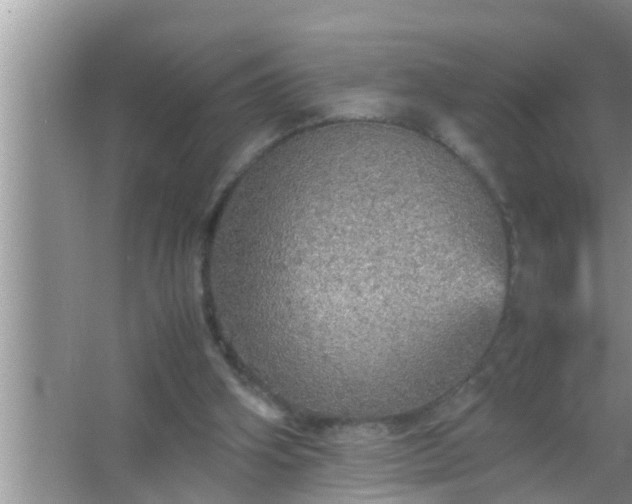 X0000067480106200604150026