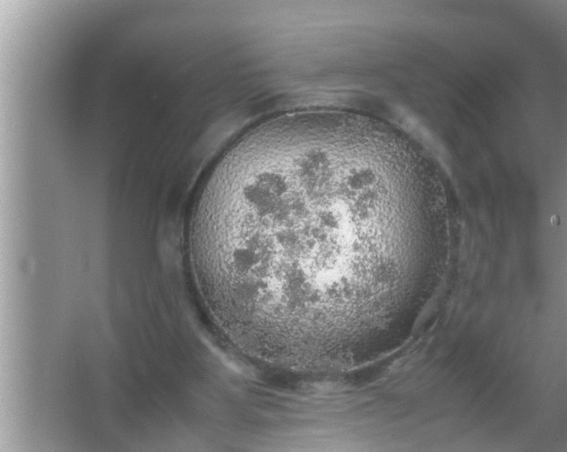 X0000067480107200604150026