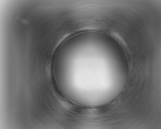 X0000067480108200604150026