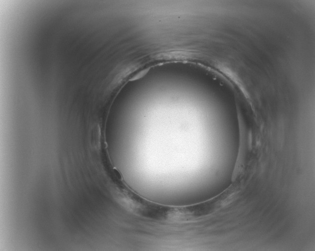 X0000067480109200604150026