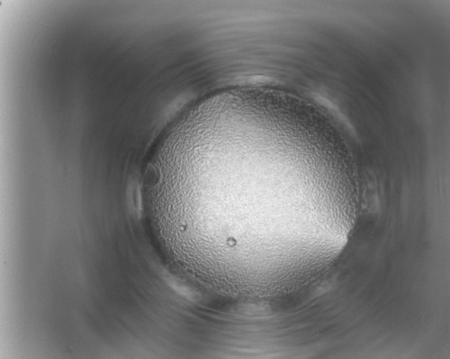 X0000067480110200604150026