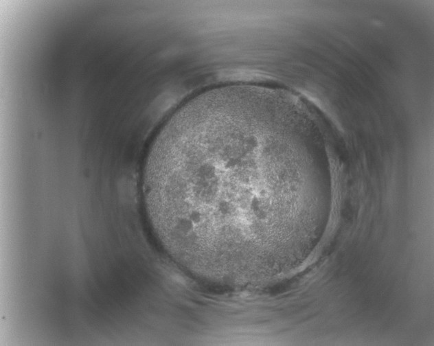 X0000067480111200604150026