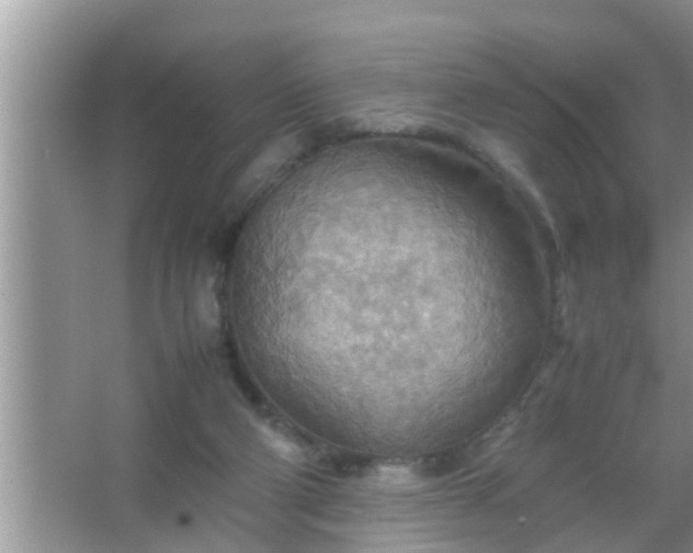 X0000067480114200604150026