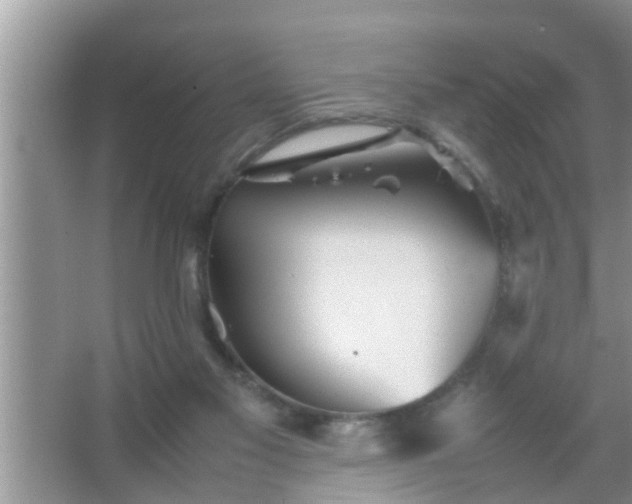 X0000067480117200604150026