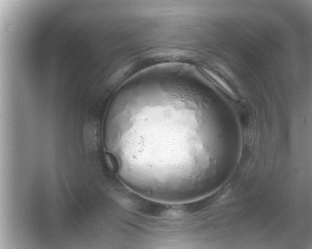 X0000067480119200604150026