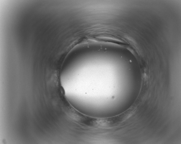 X0000067480121200604150026