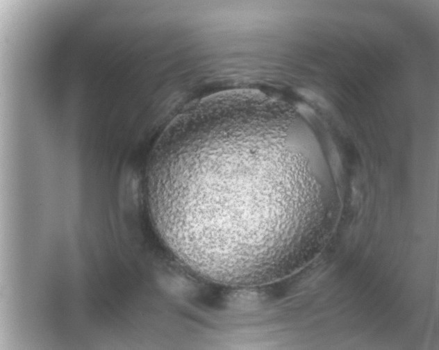 X0000067480123200604150026