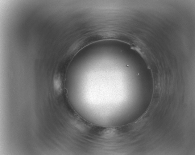 X0000067480124200604150026