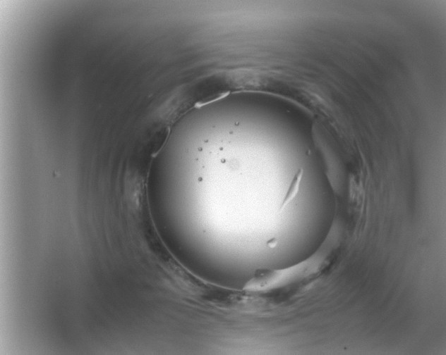 X0000067480125200604150026