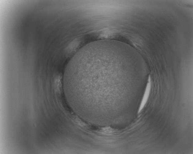 X0000067480127200604150026