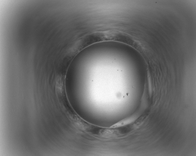 X0000067480129200604150026