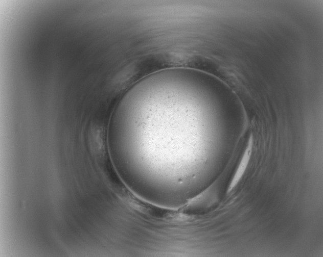 X0000067480131200604150026