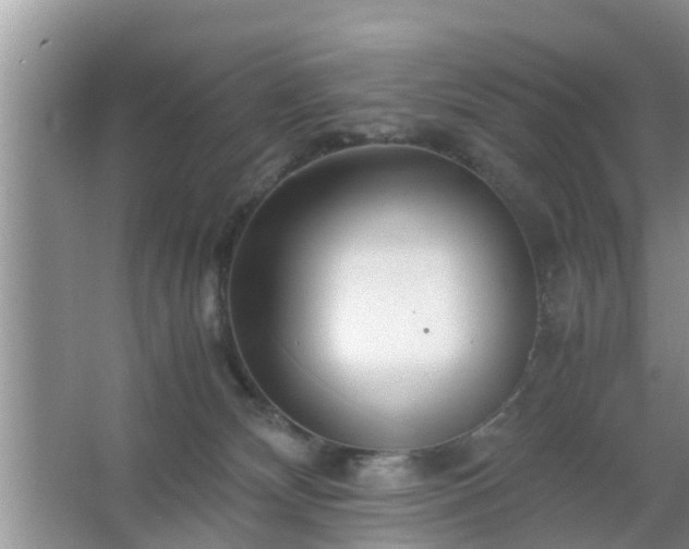 X0000067480132200604150026