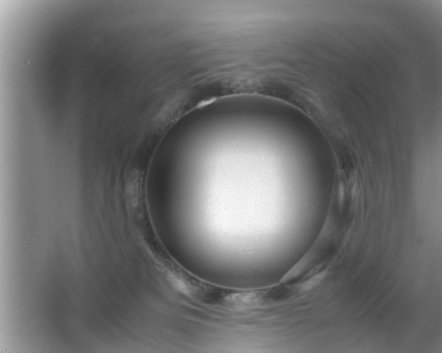 X0000067480133200604150026