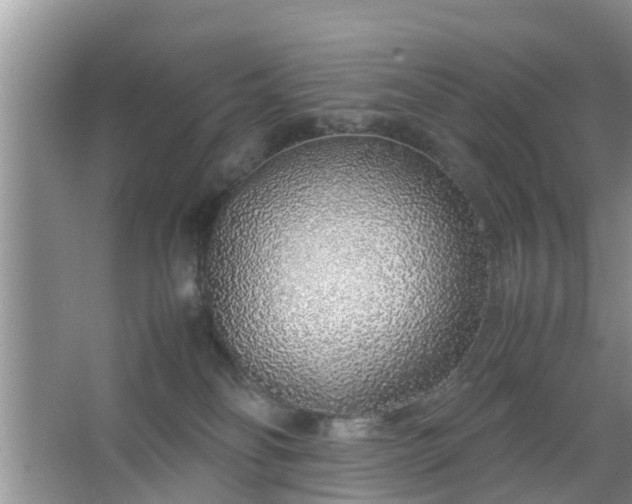 X0000067480134200604150026