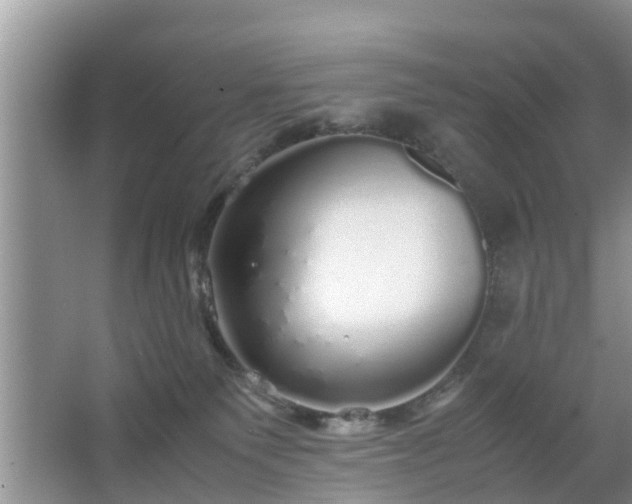 X0000067480135200604150026