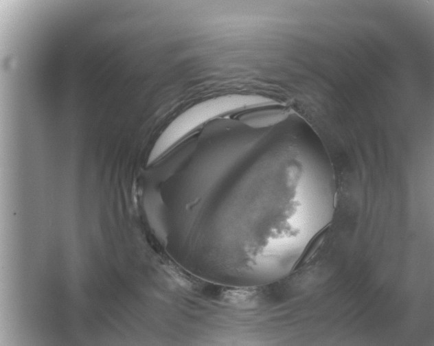 X0000067480139200604150026