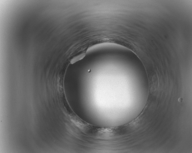 X0000067480140200604150026