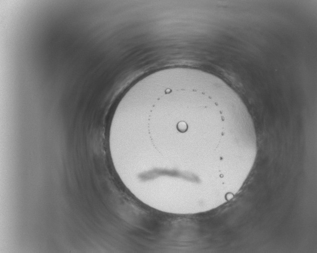 X0000067480146200604150025