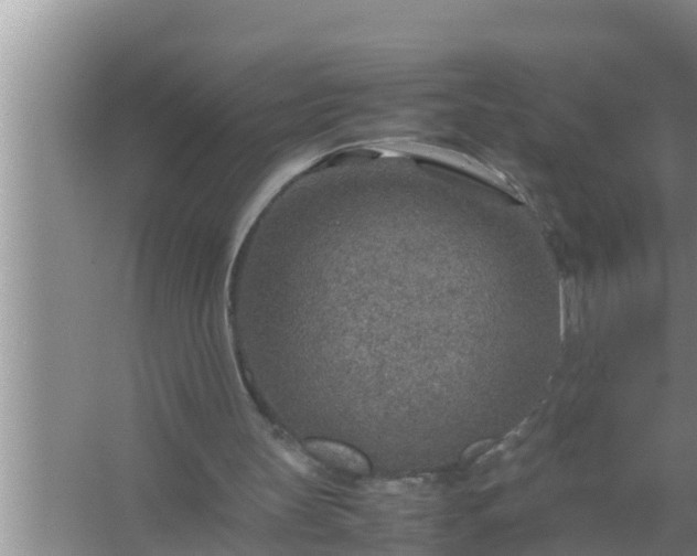 X0000067480147200604150025