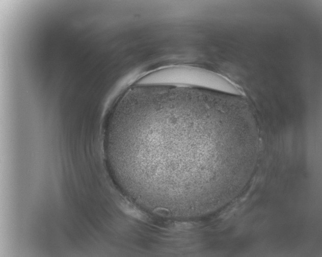 X0000067480149200604150025