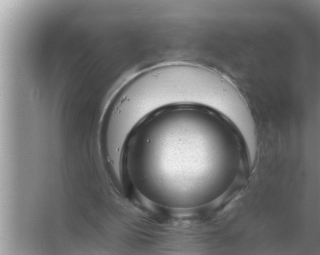 X0000067480152200604150025