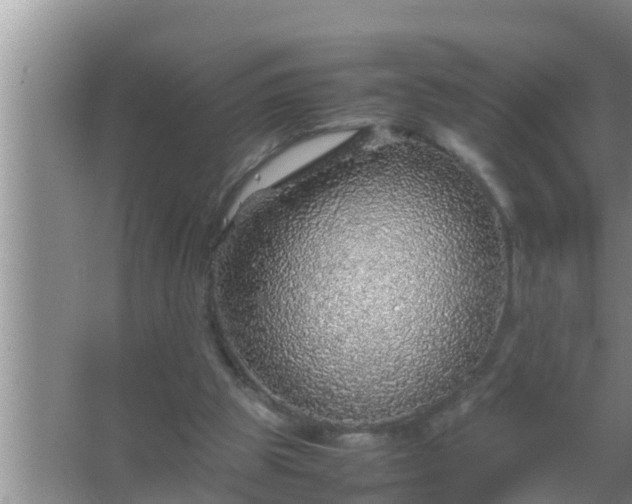 X0000067480153200604150025