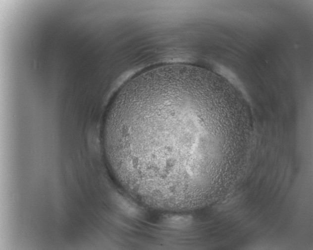 X0000067480155200604150025