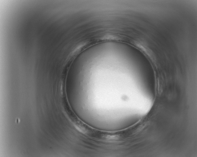 X0000067480157200604150025