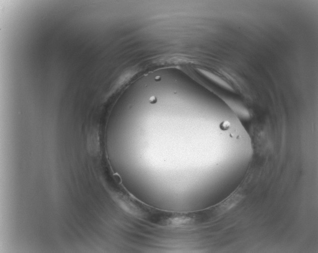 X0000067480158200604150025