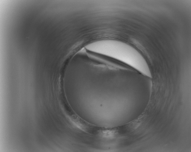 X0000067480163200604150025