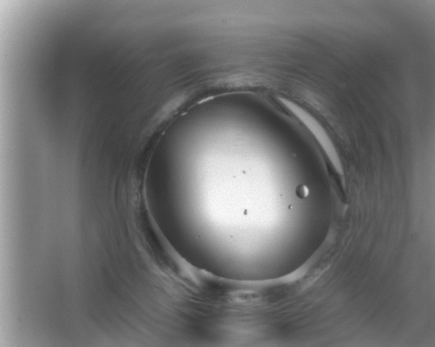 X0000067480164200604150025