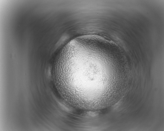 X0000067480166200604150025