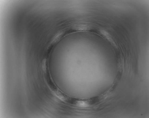 X0000067480167200604150025