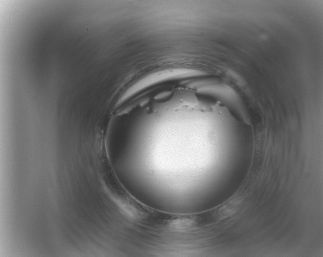 X0000067480168200604150025