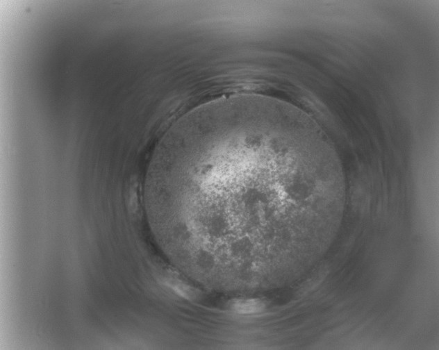 X0000067480169200604150025