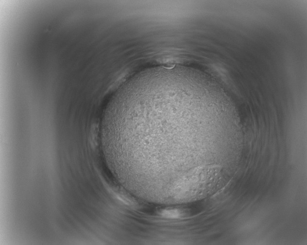 X0000067480171200604150025