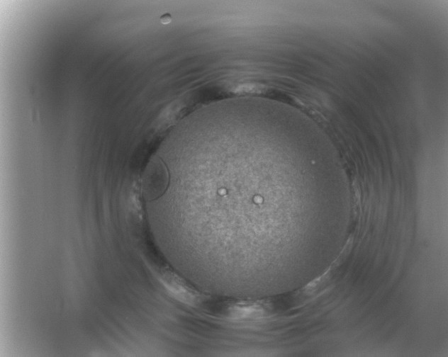 X0000067480175200604150025