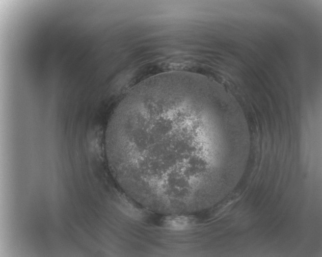 X0000067480181200604150025