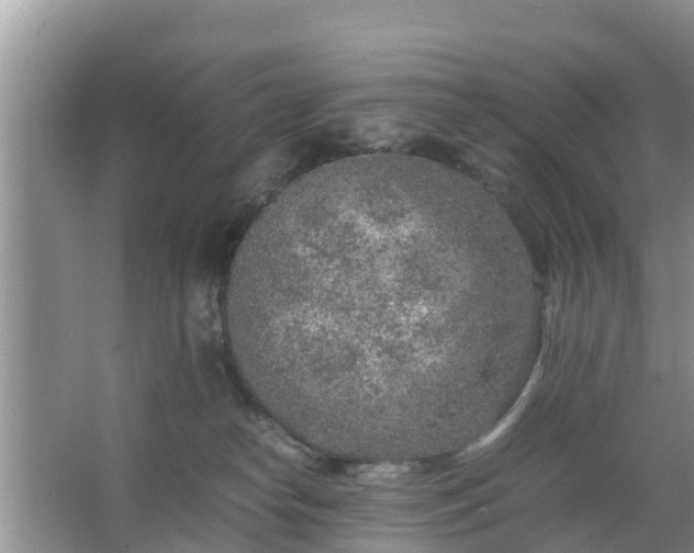 X0000067480182200604150025