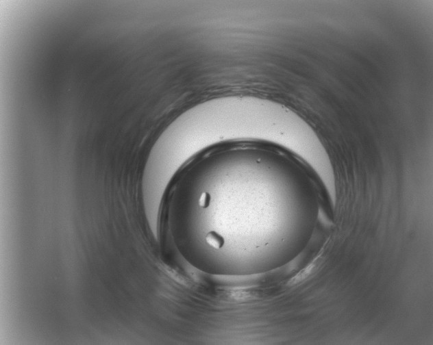 X0000067480184200604150025