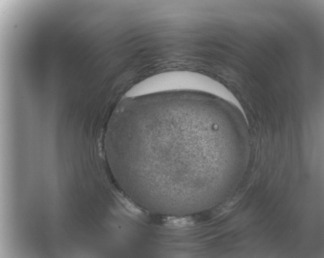 X0000067480185200604150025