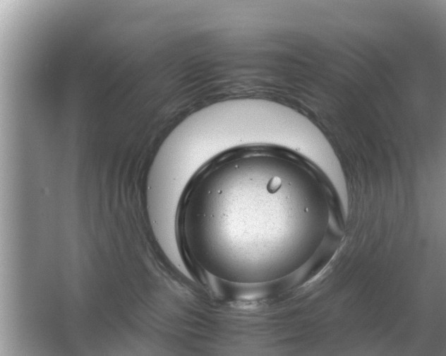 X0000067480187200604150025