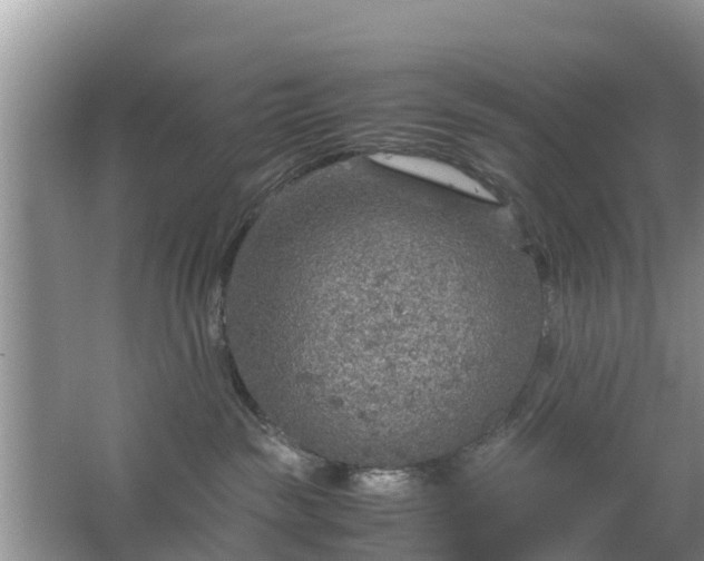 X0000067480189200604150025