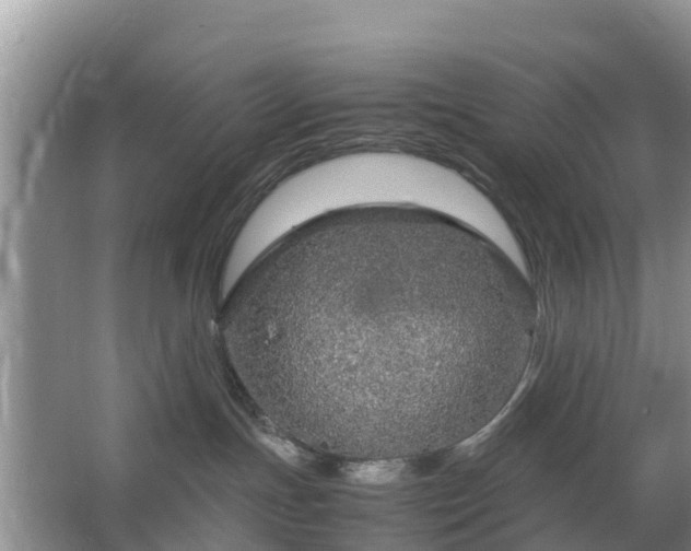 X0000067480191200604150026