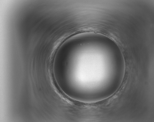 X0000067480193200604150025