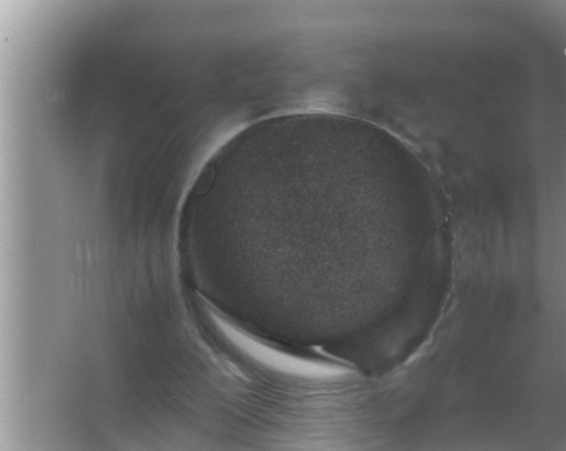 X0000067480200200604150025