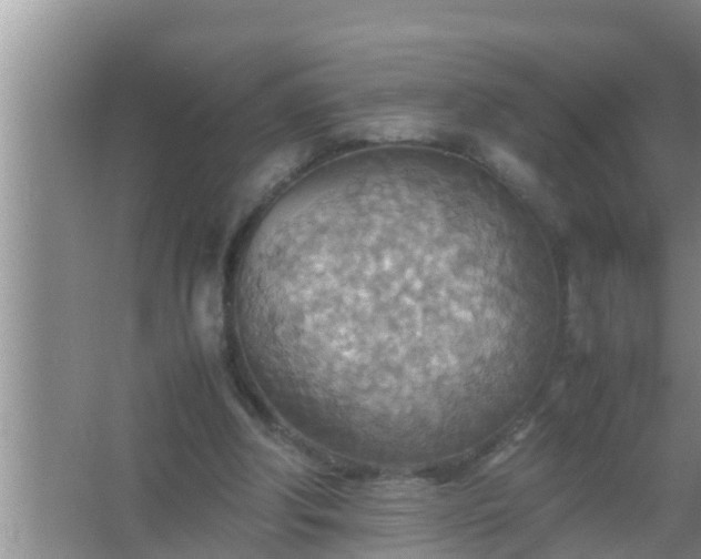 X0000067480202200604150025