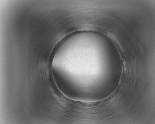 X0000067480204200604150025