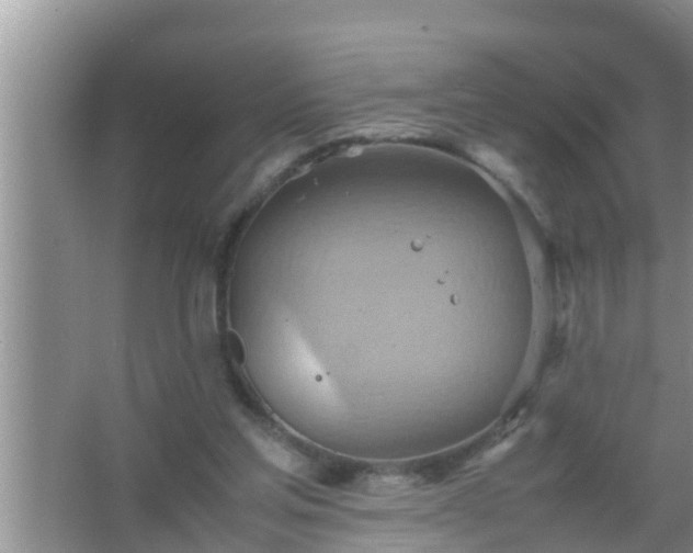 X0000067480205200604150025